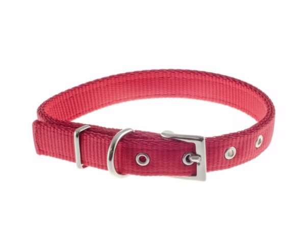Collar de perro