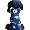 BUZO FRIZA PERRO CHIHUAHA - Imagen 8