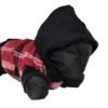 POLAR PELUCHE CUADRILLE CON CAPUCHA - Imagen 6