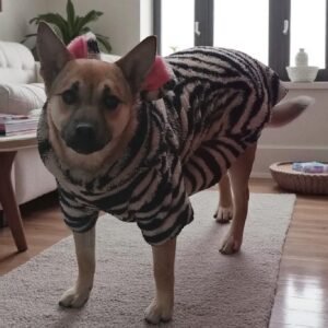 POLAR CON OREJITAS ANIMAL PRINT