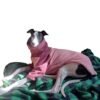 POLERA POLAR GALGOS - Imagen 2