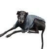 POLERA POLAR GALGOS - Imagen 3