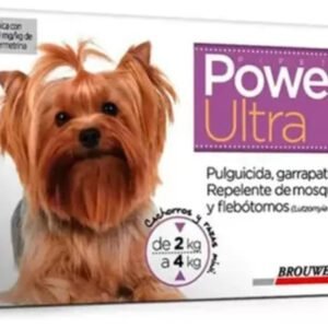 PIPETA POWER perros 2-4 kg